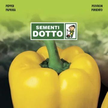 centropiazzolla2291138