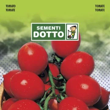 centropiazzolla2291173