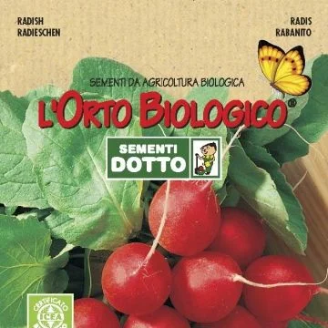 centropiazzolla2313222