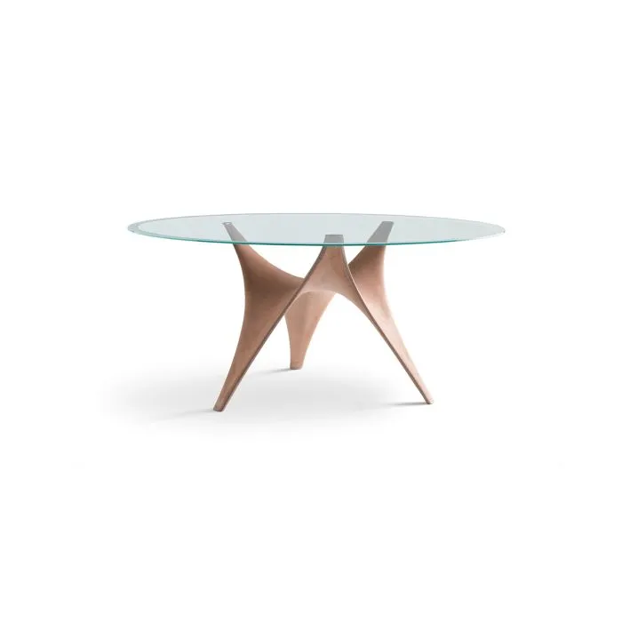 ciatdesign2351419