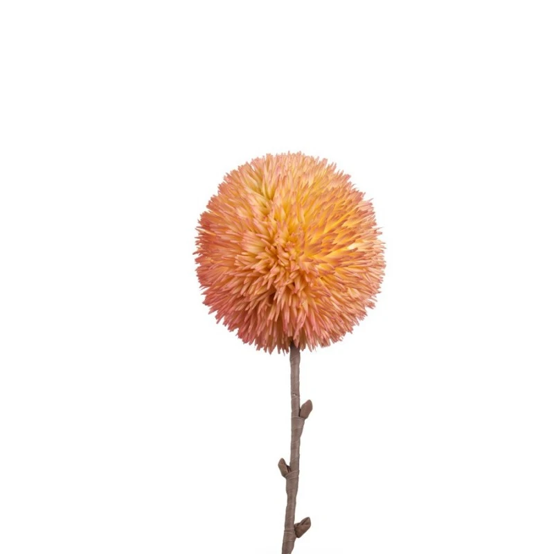 dicristofalo2361974