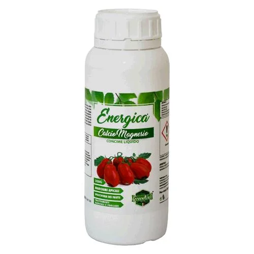eacommerce2494691