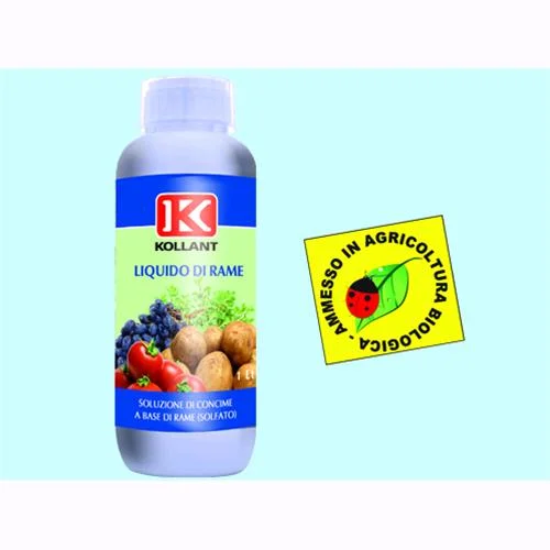 eacommerce2955005