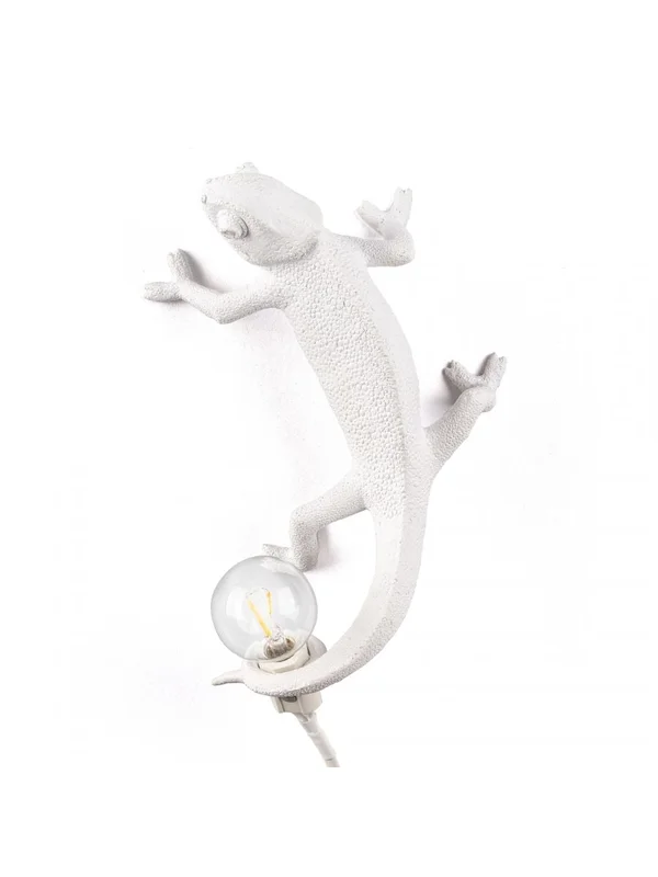 erresse-shop2243205