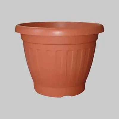 extrashopping2563899