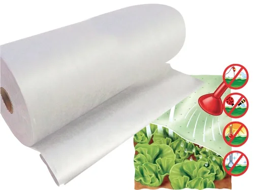 extrashopping2912005
