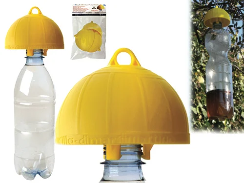extrashopping2928743