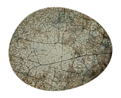 negoziocucina2461912